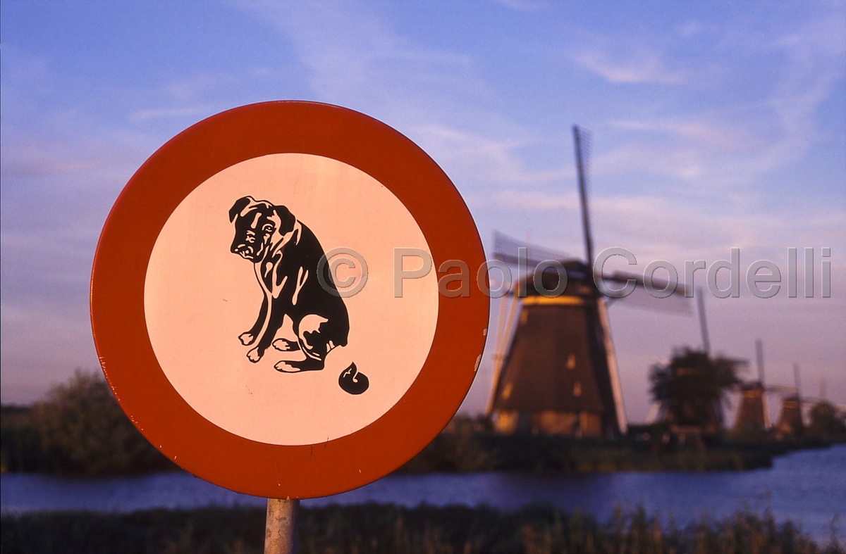 Kinderdik, Netherlands
 (cod:Netherlands 03)